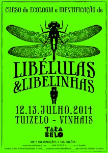 libelulas web (1)